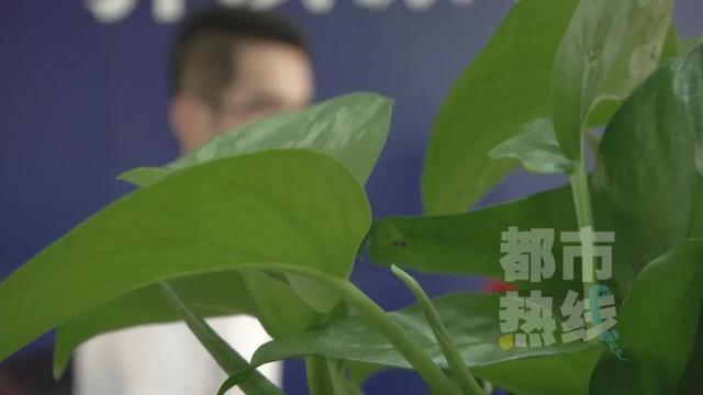 西安一男厨师网恋被骗4万多，“成熟”女友竟是未成年人