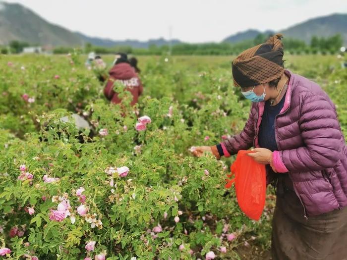 跨越4000公里，只为换来一张张满怀幸福的笑脸