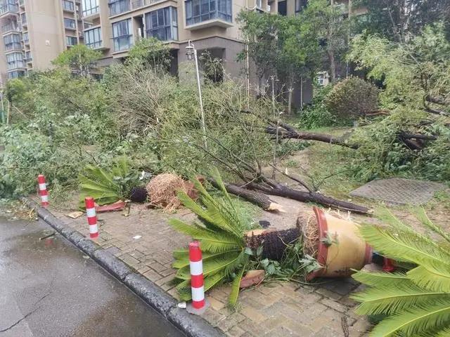 台风“黑格比”登陆，阳台玻璃被吹走，洗衣机刮下楼…