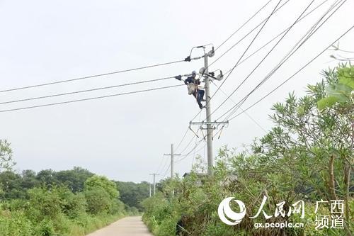 灵川供电局开展线路维护 保障夏日用电