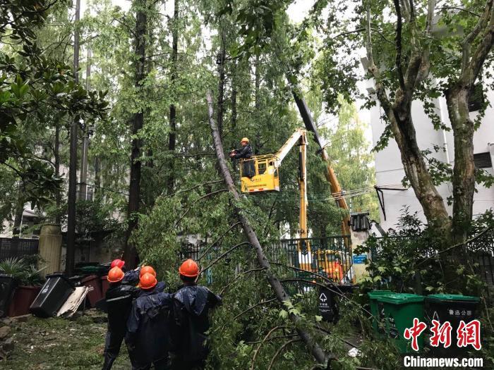 台风“黑格比”过境上海 洋山码头恢复繁忙