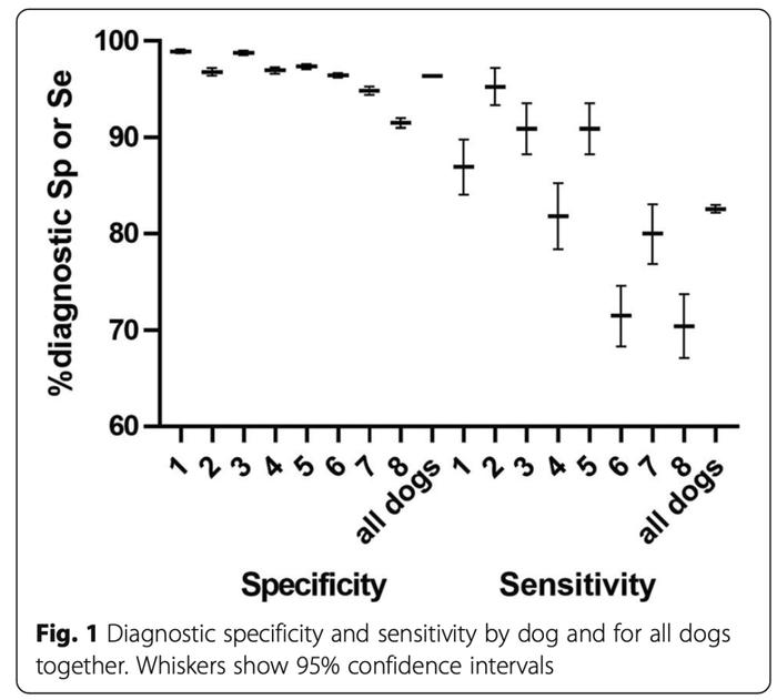 采用狗狗的“生物检测”成为新冠检测新式武器，识别新冠准确率高达94%