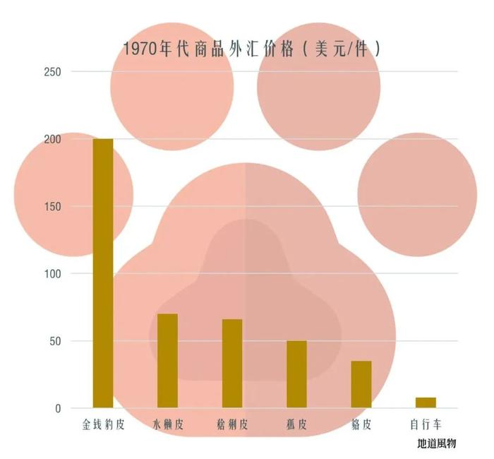 万万没想到，这些中国神奇动物就在这里！