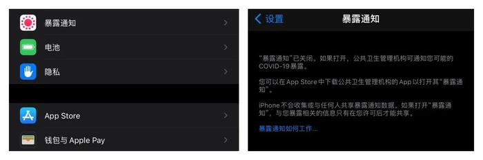 iOS/iPadOS14 Beta 4 推送：全新 TV 小组件/3D Touch回归