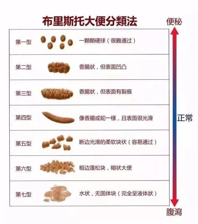 每天这个时间排便的人可能更长寿！医生：上完厕所后的一个动作非常关键！