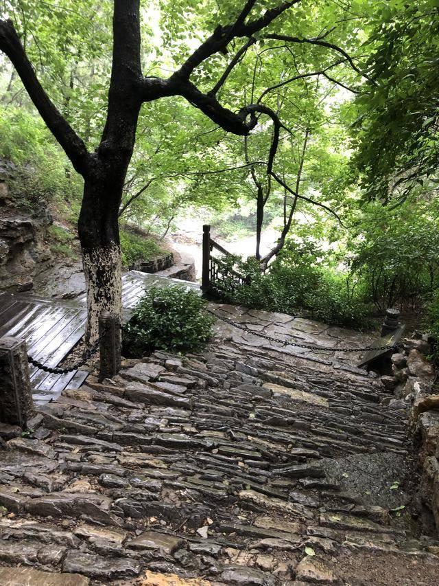 走上山一片清幽地，走下山满城烟火气，这是济南人都知道的佛慧山