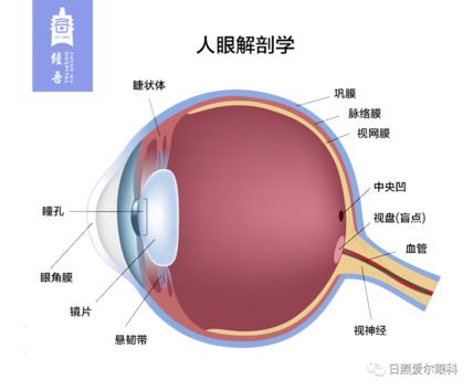 日照爱尔眼科医院完成市内首例傲迪适玻璃体腔注射手术