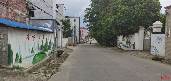 ▲张某依所居住的村庄