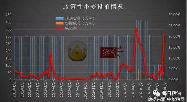 河南、河北小麦价格疯狂上涨 可苦了还没采购新粮的粮库