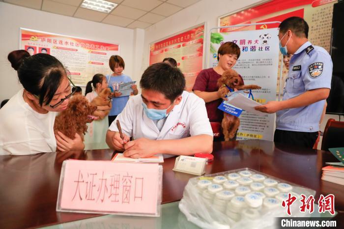 社区居民排队为宠物犬办理犬证。　赵明 摄