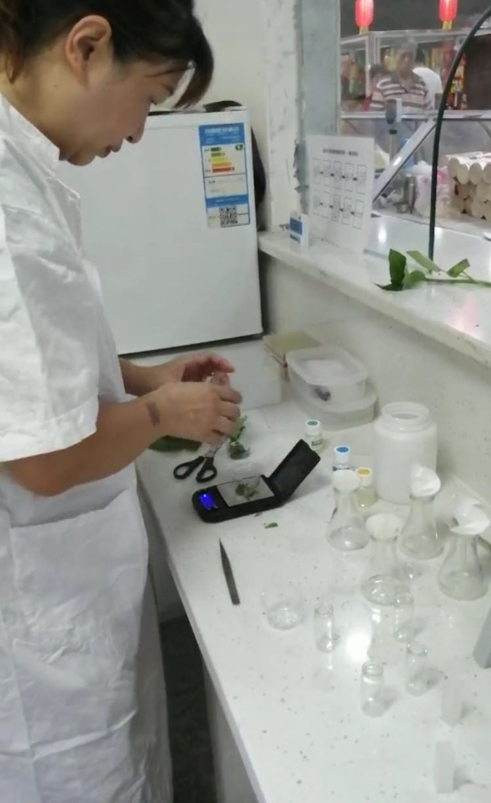 工作人员对空心菜进行检测。周小平 摄