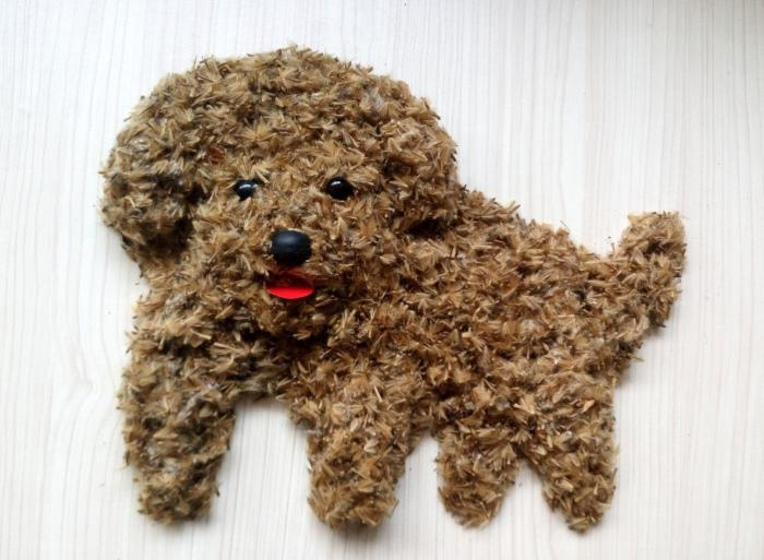 《泰迪》。受访者供图