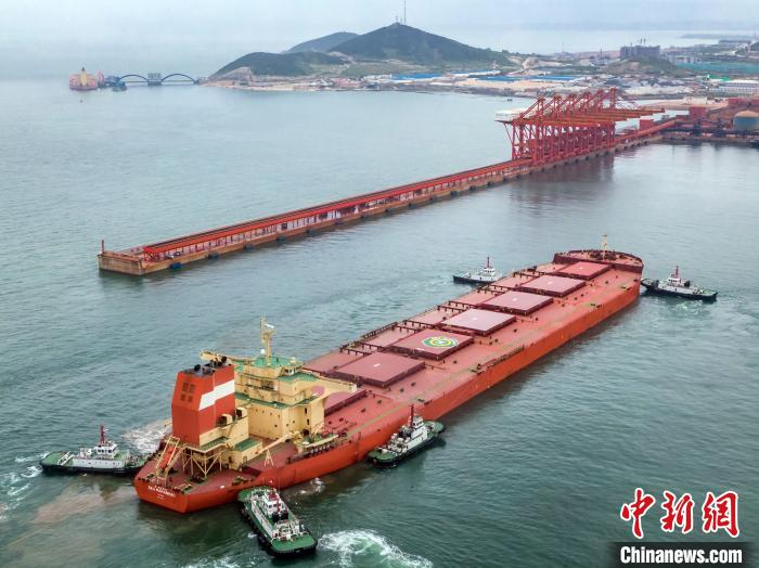 “马拉尼昂”轮船长361米、宽65米，是烟台港开港以来接卸的最大船舶。　张超 摄