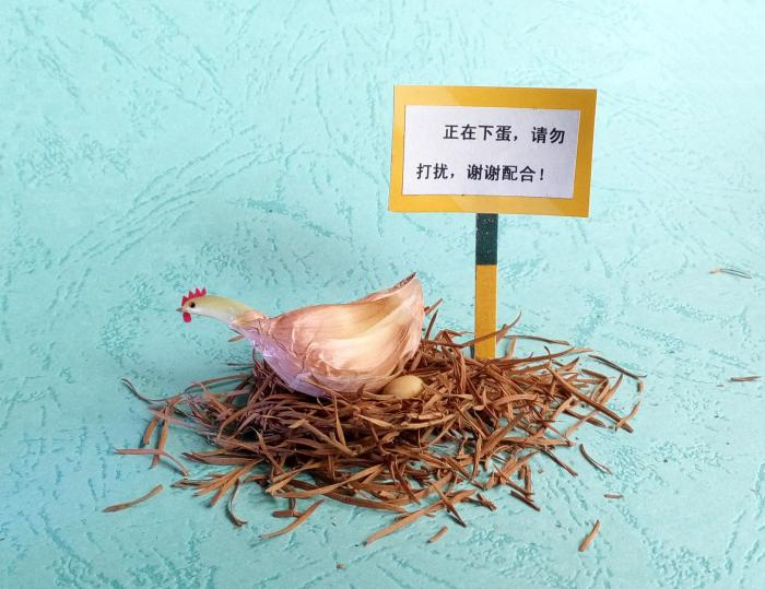《蒜鸡下蛋》。受访者供图