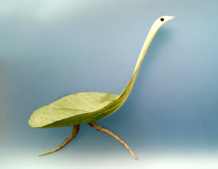 《菜鸟》。受访者供图