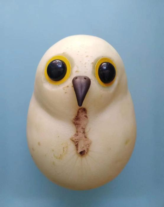 甜瓜变身“猫头鹰”。受访者供图