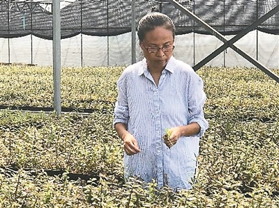  李荣荣在自家白龙农场。（图片由白龙有机农场提供）