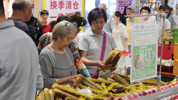图说：鲜嫩多汁的遵义方竹笋将大批进入上海市场  采访对象供图