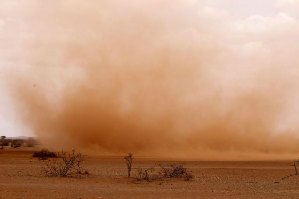 资料图：在埃塞俄比亚东南部靠近索马里边境的多洛阿多，风吹过干旱已久的大地，掀起沙尘。新华社