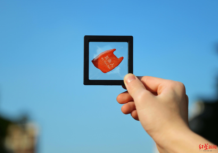 乐队LOGO红色塑料袋徽章