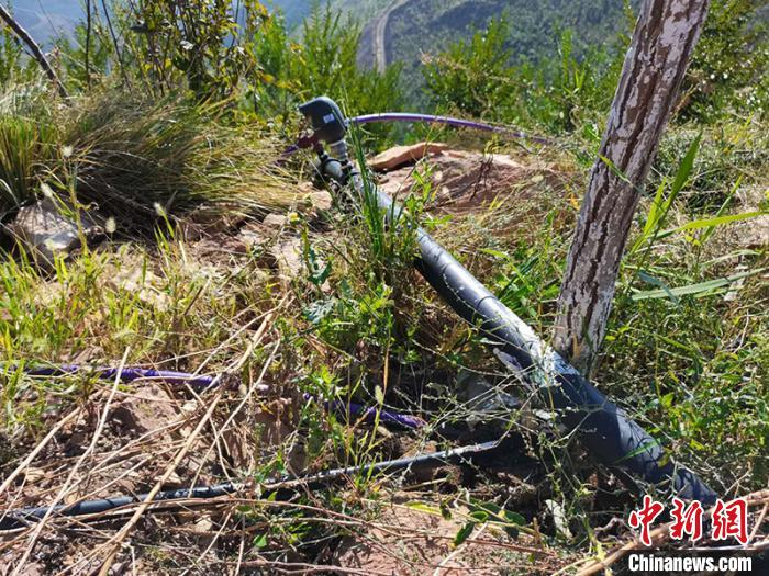 通过铺设水系管线，及时为树木浇水，确保成活率。　戚亚平 摄