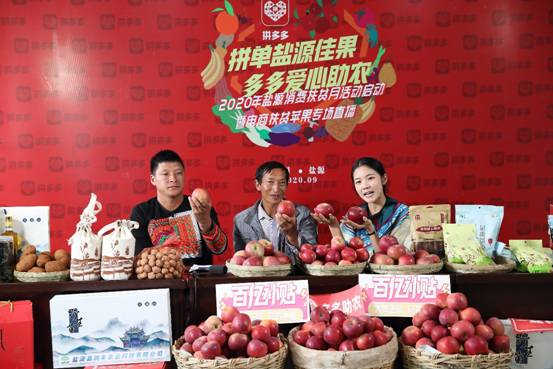 ▲通过种植苹果脱贫致富，肖宗全（中）和他的彝族老乡在拼多多直播间里介绍盐源苹果的致富经。（摄影：张骞）