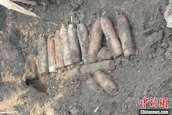  16枚日军遗留炮弹摆放在地面上。嫩江市长福镇镇政府提供