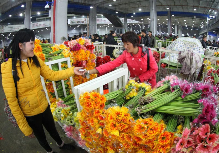 昆明斗南花卉市场产销两旺。黄喆春 摄