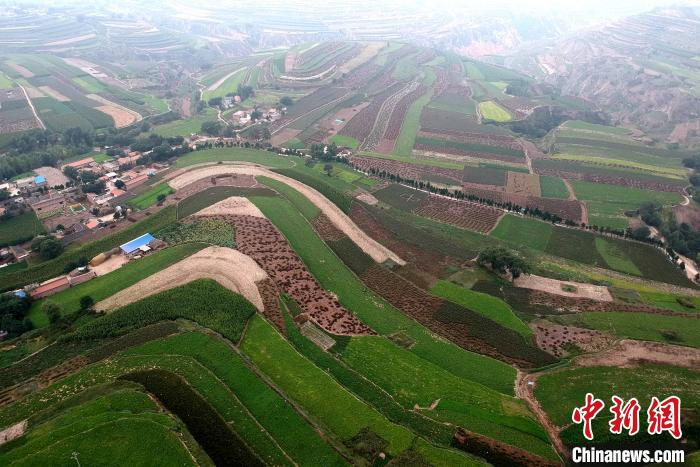 图为航拍的柯寨镇，该镇大规模种植中药材。　吕明 摄