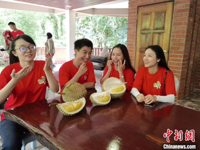 马中青年同品榴莲 马中学生学者服务中心 摄