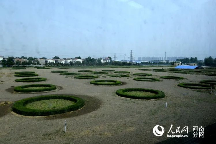 ▲回洛仓遗址，人们用这种绿化方式展示古粮仓