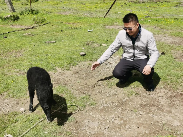 陈立文和刚出生的小牛犊