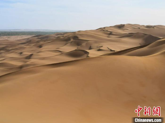 沙包连绵起伏。　戚亚平 摄