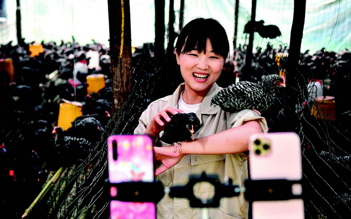 陕西商洛市丹凤县寺坪镇寺坪村的网络主播李萌在直播介绍自家养的芦花鸡（7月20日摄） 刘潇摄/本刊