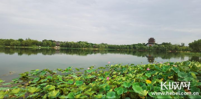 秦皇岛市戴河生态园里，河面波光粼粼。长城网记者 郭庆敏 摄