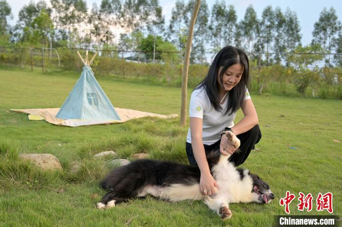 图为宠物主人带狗狗到宠物乐园玩耍。　俞靖 摄