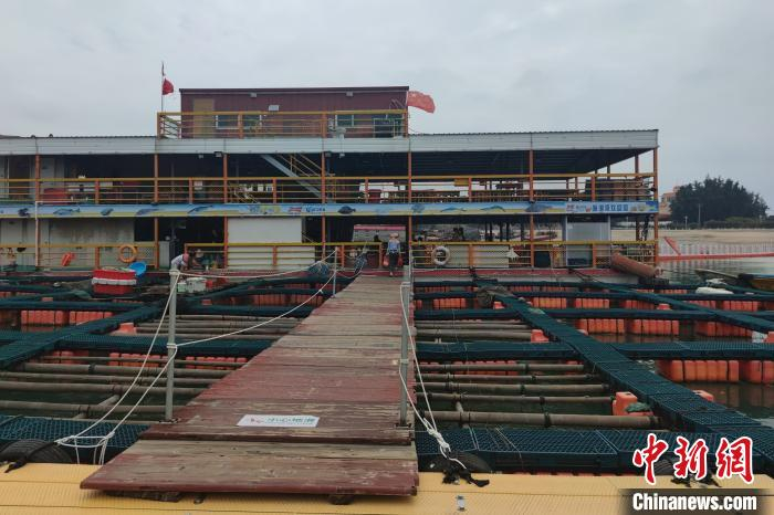 惠屿岛融合渔业与旅游业，打造海上休闲生态养殖体验中心。图为开在渔排边的海上海鲜餐厅。　吴冠标 摄