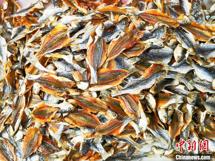 开边晒制的蚬鱼干 郭军 摄