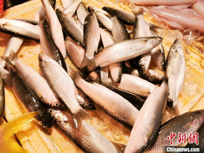 台山海鲜市场上冰鲜销售的“软鳞”.　郭军 摄