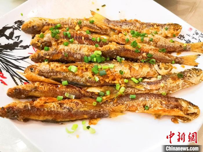 酥香可口的煎蚬鱼 郭军 摄