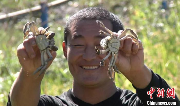 图为游客在稻田里捉蟹。科右前旗宣传部供图