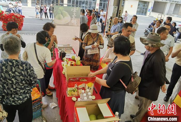 民众品尝选购文旦柚。　许耀艺 摄