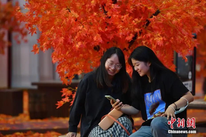 中新社记者 刘冉阳 摄