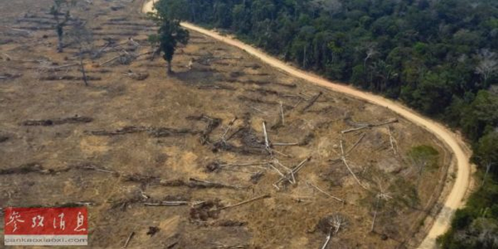 全世界各国面积排名_世界各国实力大排名!终于找到最全的了.