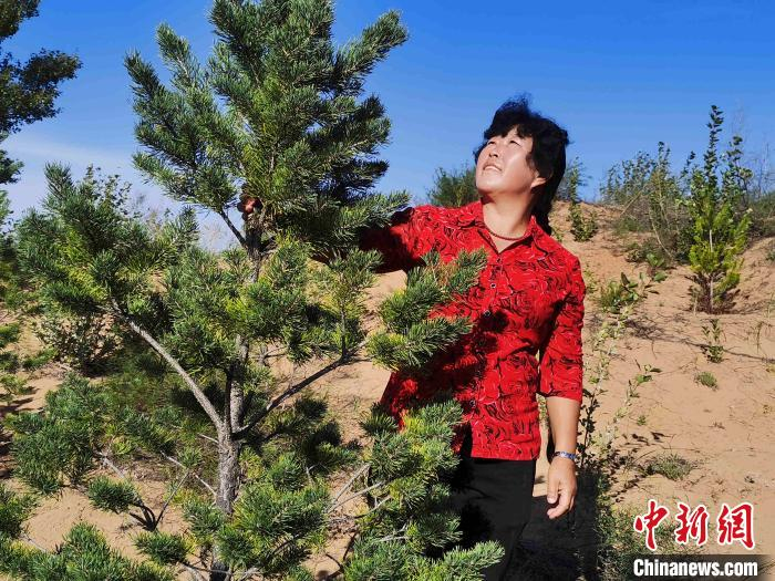 图为殷玉珍正在查看树苗。　党田野　摄