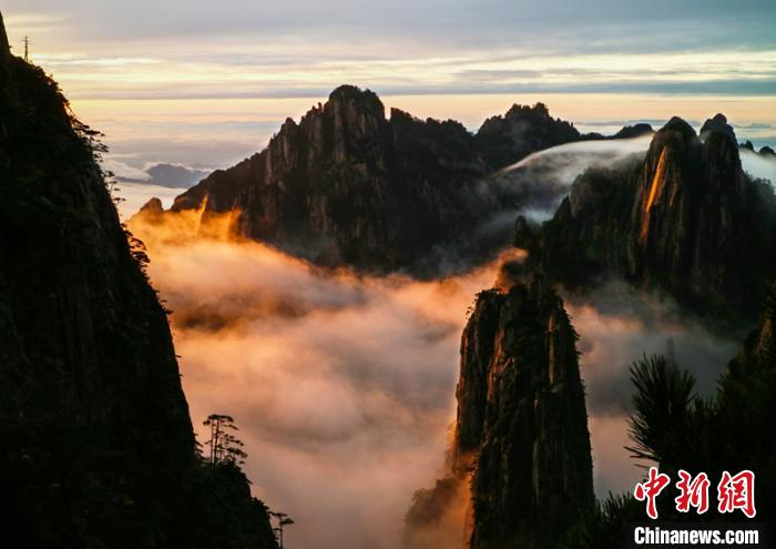  18日晚，黄山云海在晚霞陪衬下，金辉熠熠。　李金刚 摄