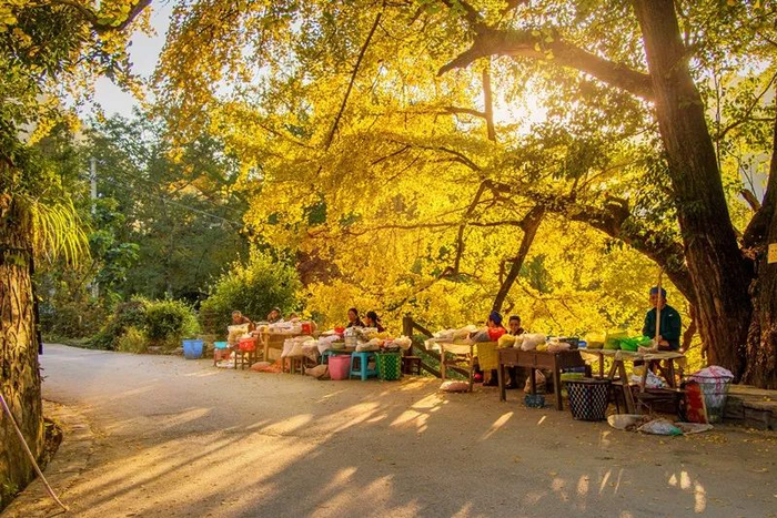 贵阳黄连村 夏俊杰/摄