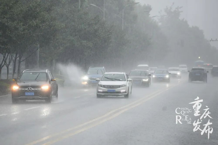 汽车在雨中慢行  邹乐 摄（资料图）