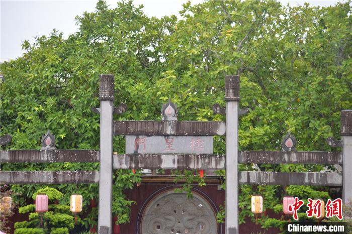 图片正中间即为一直未开的“大门”。凌楠 摄