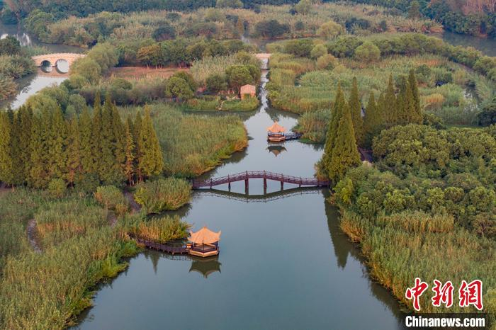 这里水道曲折，宽窄不一。　泱波 摄